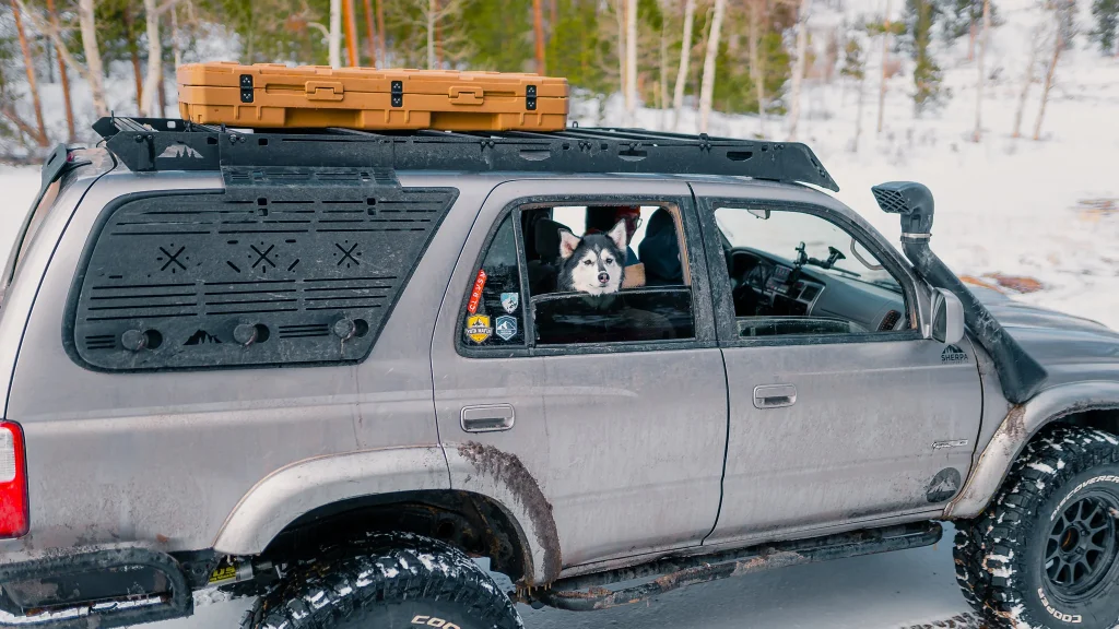 CRUZ Dachträger und Dachboxen – Perfekte Kombination für Fahrräder und Skier bei Rackmag